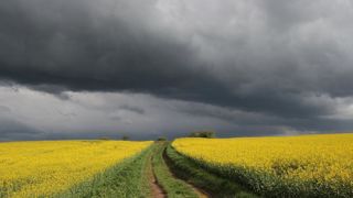 Les orages reviennent ce week-end du 3 et 4 juillet 2021 avec une baisse des températures, annonce Météo-France. © Pixabay Les orages reviennent ce week-end du 3 et 4 juillet 2021 avec une baisse des températures, annonce Météo-France. © Pixabay